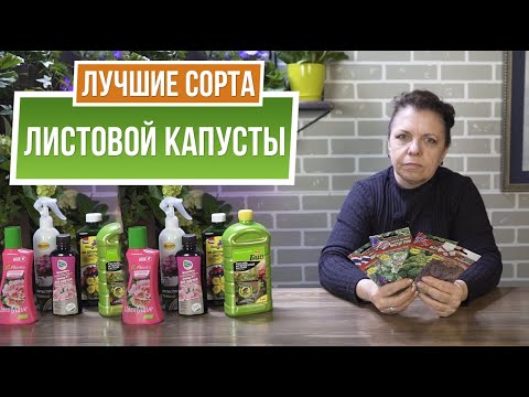 Лучшие сорта листовой капусты - YouTube