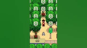 Don’t Waste Acorns In Stardew Valley