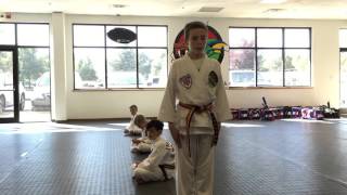 Black Belt Testing