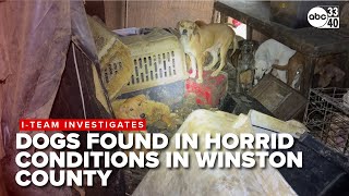 Alabama authorities discover dozens of dogs in animal hoarding case
