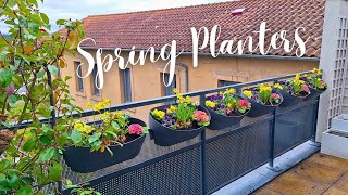 Spring Balcony Planters Arrangement 🌷| Container Gardening