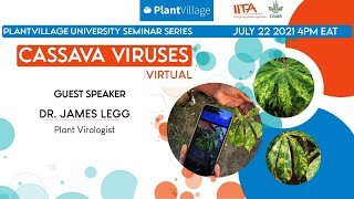 PlantVillage Seminar Series #6 Dr. James Legg (IITA) screenshot 2