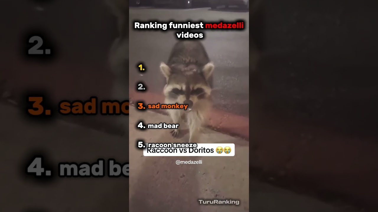 Top 5 Funniest Animal Fails Ever!