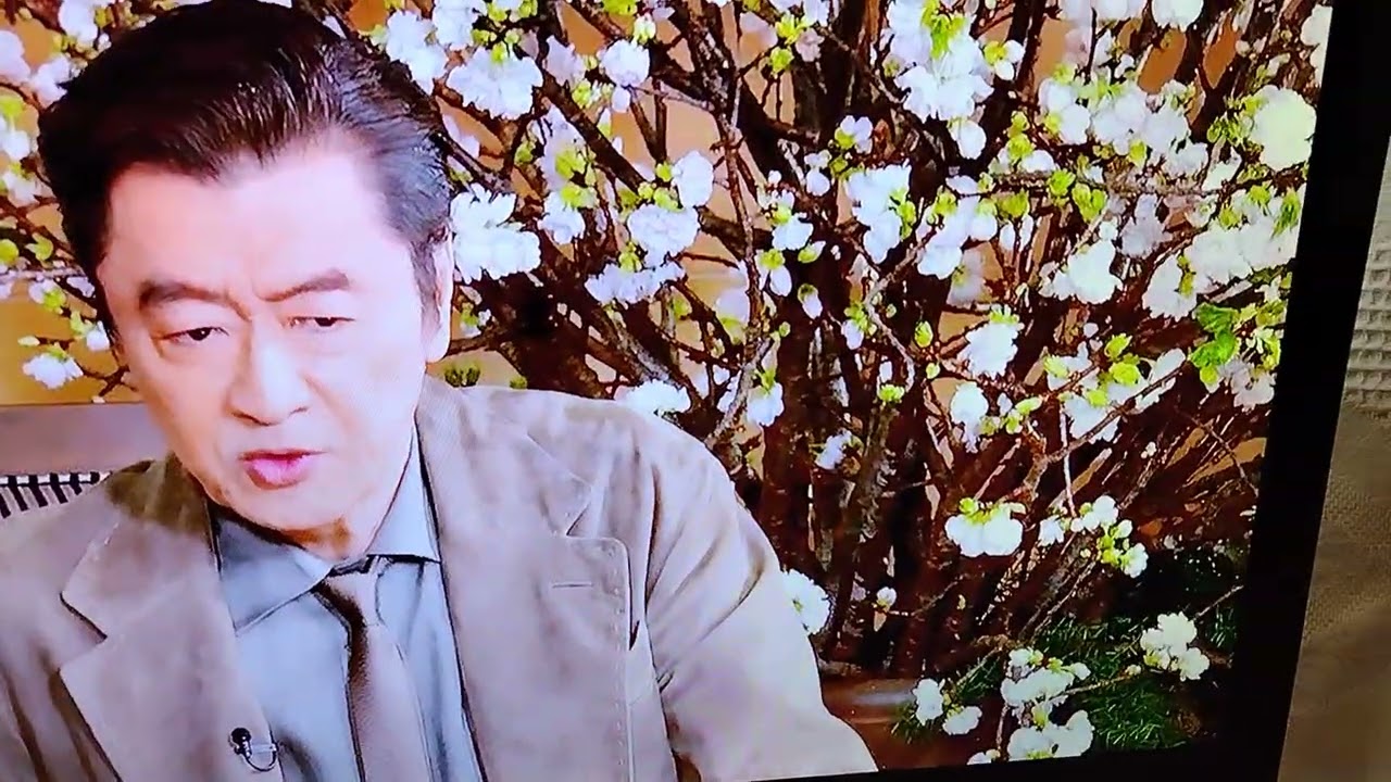 J548 ★ORION★2012年製★19インチ地デジ専用TV★GU191-B1 オリオン電気（ドウシシャ） 中古 TB-DU191B1 液晶テレビ 19V ORION