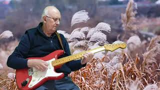 Dont Let Me Cross Over  Ollie Austin  Guitar Instrumental By Dave Monk