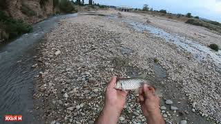 Рыбалка в Чечне. Река Аксай. Голавль трофейный на опарыш.