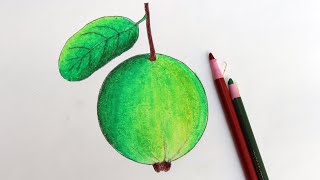 Featured image of post How To Draw Guava Easy Here s a simple way to place the features accurately when drawing a head