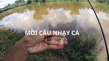 REVIEW ĐỒ CÂU CÁ P4 MỒI CÂU ĐÁY NHẠY CÁ R45 HUYNHVANAN