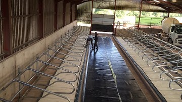 SuperFoam Cow Mattress System by CozyCow