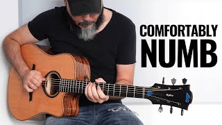 Pink Floyd Comfortably Numb... But It's a 10 Minutes Acoustic Guitar Solo! Lag HyVibe Smart Guitar