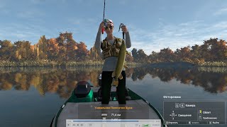 Fishing Planet - Эмеральд. Как ловить Уникальную Полосатую Щуку. ЕСТЬ МЕТКА.