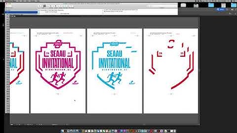 ADOBE ILLUSTRATOR BEST SETUP FOR SCREEN PRINTED SEPARATIONS.