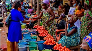 Expose! Kofi Asante reveals why Tomatoes have become so much expensive in Ghana