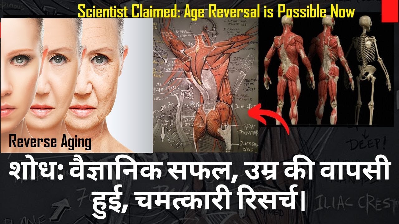 Scientist Discovers Aging Clock to Speed and Reverse Aging | Human age ...