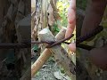 Knot Skill strong knot the easy way #shortvideo#everyone#foryou#support#subscribe✅♥️