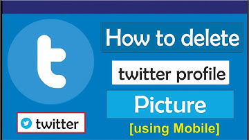 How to delete twitter profile Picture