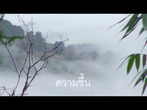 ความสัมพันธ์ระหว่างสิ่งมีชีวิตกับปัจจัยทางกายภาพ