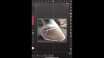 Part 1 Studio Sculpts- Hoof        #horse #art #model #digitalart #nomad #sculpting #capcut