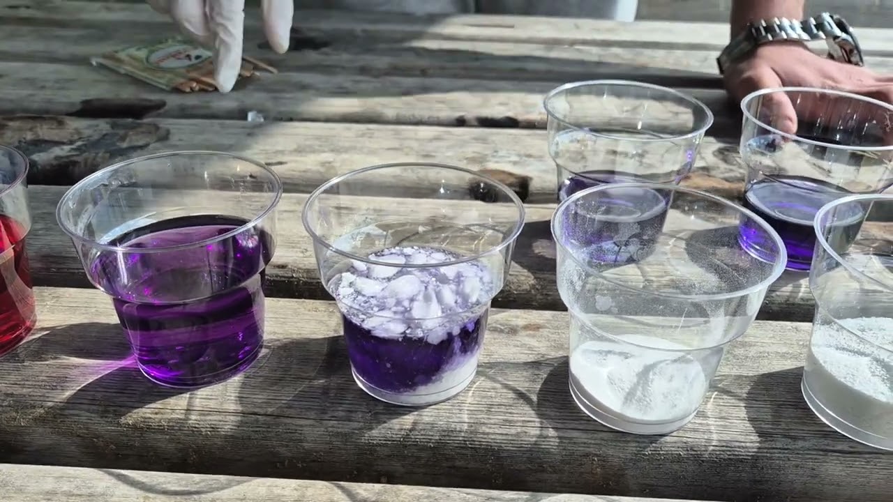 Acid base test with red cabbage.(Muhammed Furkan Mayakan) (24290061)