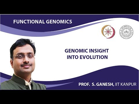 Genomic Insight into Evolution