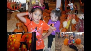 PUMPKIN PATCH OCTOBER 2017