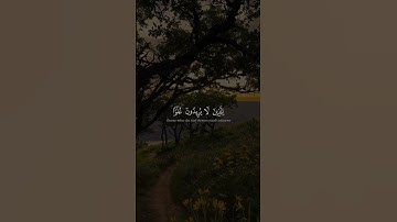 ﴿تِلۡكَ ٱلدَّارُ ٱلۡـَٔاخِرَةُ﴾ | القارئ محمد صديق المنشاوي #قرآن #اكسبلور #المصحف.