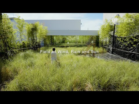 Field of Wind, Rain and Sun
