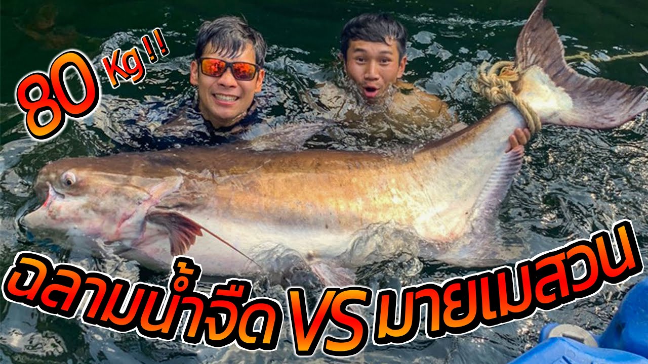 ล่า "ฉลามน้ำจืดยักษ์" [คนหลงรส] EP.11