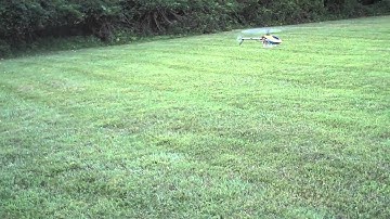 EXI 450 V2 Smooth Flying in the Back Yard