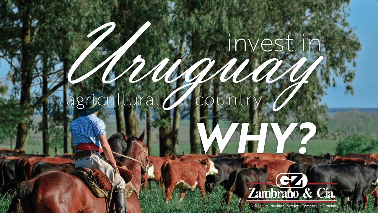Invest in Uruguay, agricultural country