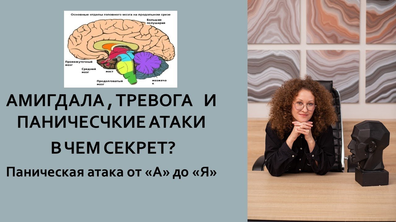 Амигдала. Анатомия Панической атаки от "А до "Я" - YouTube
