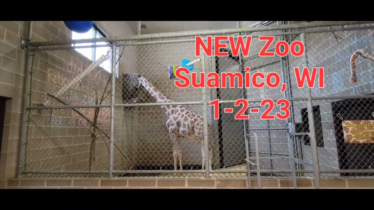 NEW Zoo Highlights Suamico, WI 1-2-23
