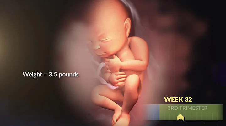 Your Growing Baby's Changes in the Third Trimester - DayDayNews