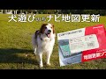 【ナビ更新】犬遊びのち3年ぶりのカーナビ地図更新【多頭飼い】【レア犬】