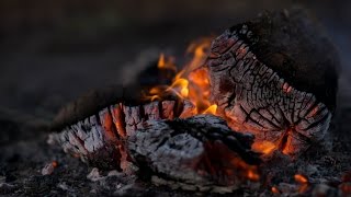 התוועדות ל"ג בעומר תשע"ו בבית הרב יאיר כלב | lag baomer