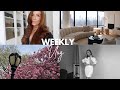 WEEKLY VLOG | Really Exciting News!! + Wedding Update