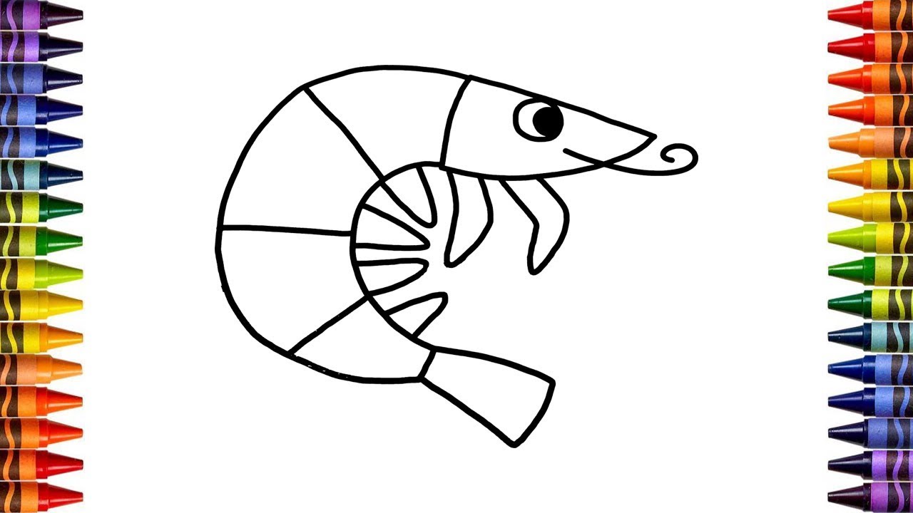 Coloring a Shrimp┃How to Draw a Shrimp┃Coloring Pages for Children