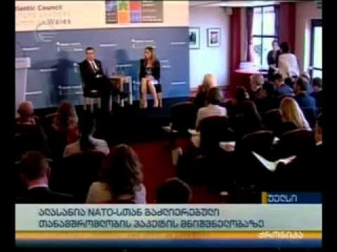 ალასანია NATO-სთან გაძლიერებული თანამშრომლობის პაკეტის მნიშვნელობაზე