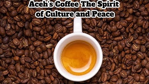 Aroma Aceh – Kopi, Budaya & Ketenangan | Jiwa Kopi Gayo di Indonesia