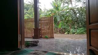 Download Lagu suasana rumah mbak wilis MP3