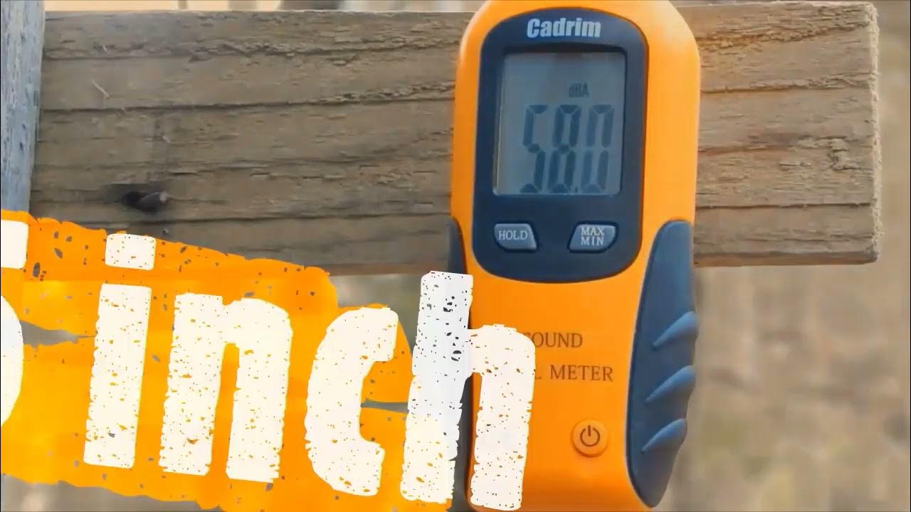 Loudness of different shotgun blasts in decibels. YouTube