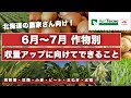 【北海道】6〜7月に収量アップのために”今すぐ”すべきこととは　科学的アプローチとは