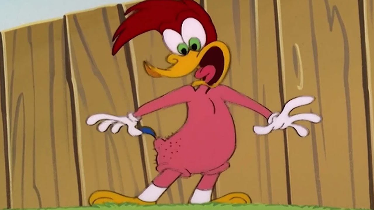 Pica-Pau | Pica-Pau perde TODAS as suas penas + Outros Episódios ...