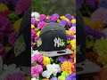 Yankees Pride in Navy/Gray: 2026 Spring Training 59FIFTY Short #NewYorkYankees #YankeesHat #NewEra