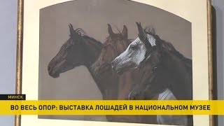Выставка лошадей открывается в Национальном художественном музее Выставка лошадей открывается в Национальном художественном музее