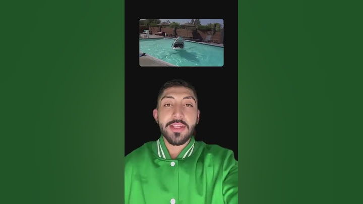 ANIMALES que fuerón ENCONTRADOS EN PISCINAS🦈😳 (¿un tiburón?) #shorts