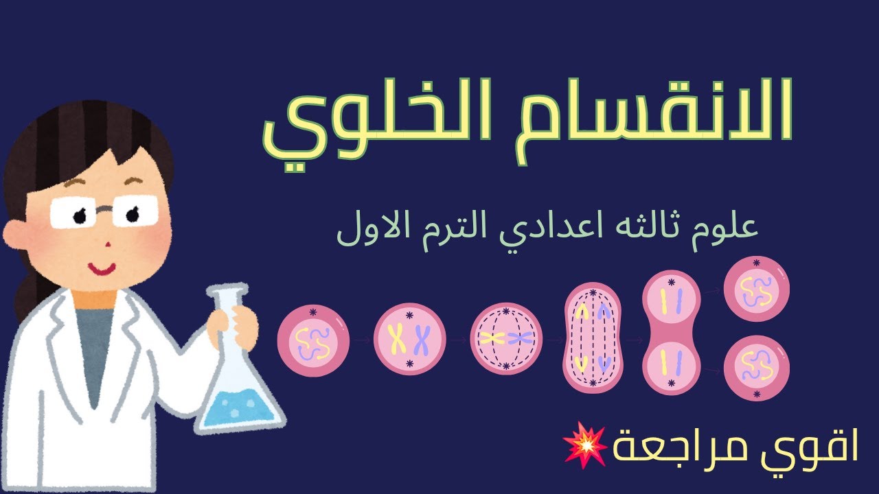 🔬 الانقسام الخلوي الجزء الأول | شرح سهل ومختصر لفهم مراحل الانقسام خطوة بخطوة