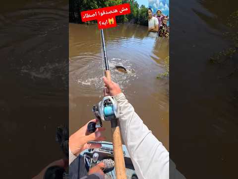 اصطاد شىء مرعب من الماء      طرائف  عمر ماتريكس