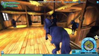 Star Stable Online: Randomness 7 #Starfam