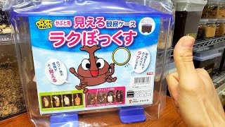 幼虫丸見えケース『ラクぼっくす』～虫の成長を見て楽しもう～